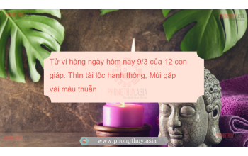 Tử vi hàng ngày hôm nay 9/3 của 12 con giáp: Thìn tài lộc hanh thông, Mùi gặp vài mâu thuẫn