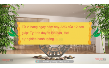 Tử vi hàng ngày hôm nay 22/3 của 12 con giáp: Tỵ tình duyên lận đận, Hợi sự nghiệp hanh thông