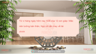 Tử vi hàng ngày hôm nay 10/8 của 12 con giáp: Mão nên tưởng bản thân, Ngọ có vận may về tài chính