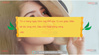 Tử vi hàng ngày hôm nay 9/8 của 12 con giáp: Mão tài lộc rủng rỉnh, Dậu linh hoạt trong công việc