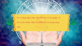 Tử vi hàng ngày hôm nay 5/8 của 12 con giáp: Tý chú ý sức khỏe, Mão có nhiều tin vui trong công việc