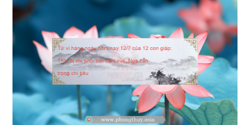 Tử vi hàng ngày hôm nay 12/7 của 12 con giáp: Thìn bị chi phối bởi cảm xúc, Ngọ cẩn trọng chi tiêu