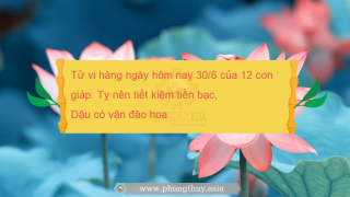 Tử vi hàng ngày hôm nay 30/6 của 12 con giáp: Tỵ nên tiết kiệm tiền bạc, Dậu có vận đào hoa