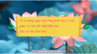 Tử vi hàng ngày hôm nay 30/6 của 12 con giáp: Tỵ nên tiết kiệm tiền bạc, Dậu có vận đào hoa