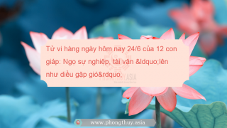 Tử vi hàng ngày hôm nay 24/6 của 12 con giáp: Ngọ sự nghiệp, tài vận “lên như diều gặp gió”