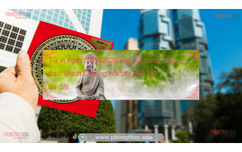 Tử vi ngày 19/3/2022 của 12 cung hoàng đạo: Bạch Dương nổi bật, Xử Nữ dè dặt