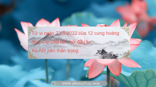Tử vi ngày 23/3/2022 của 12 cung hoàng đạo: Cự Giải học hỏi đầu tư, Xử Nữ nên thận trọng