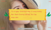 Tử vi ngày 19/3/2022 của 12 cung hoàng đạo: Bạch Dương nổi bật, Xử Nữ dè dặt