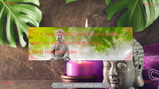 Tử vi ngày 2/9/2022 của 12 cung hoàng đạo: Cự Giải nhiều năng lượng, Song Ngư nhạy cảm