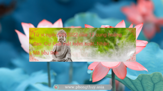 Tử vi ngày 6/9/2022 của 12 cung hoàng đạo: Cự Giải mất kiểm soát, Nhân Mã liều lĩnh